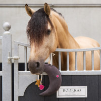 Brinquedo para o box Imperial Riding Moony Cinzento