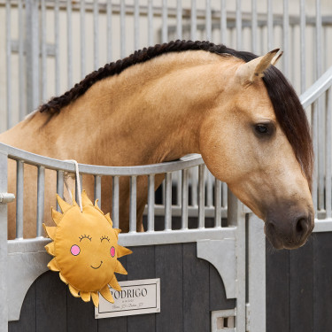 Brinquedo para a caixa Imperial Riding Sunny Brinquedo para a caixa Imperial Riding Sunny