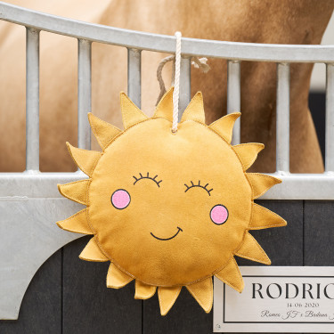 Brinquedo para a caixa Imperial Riding Sunny Brinquedo para a caixa Imperial Riding Sunny