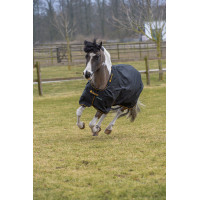 Cobertura Irish Turnout Bucas 100g Preto / dourado Cobertura Irish Turnout Bucas 100g Preto / dourado
