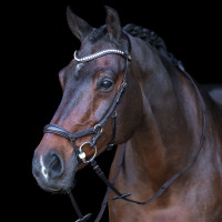 Bridão HV Polo Legacy Anatômico deluxe Preto