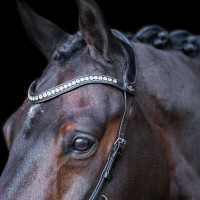 Bridão HV Polo Legacy Anatômico deluxe Marrom chocolate Castanho