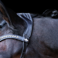 Bridão HV Polo Legacy Anatômico deluxe Preto