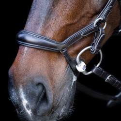 Bridão HV Polo Legacy Anatômico deluxe Marrom chocolate Castanho