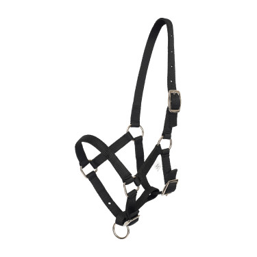 Cabresto para potro HV Polo Nena Preto