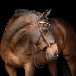 Bridão sem embocadura HV Polo Legacy