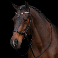 Bridão sem embocadura HV Polo Legacy Preto Bridão sem embocadura HV Polo Legacy Preto