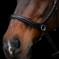 Bridão sem embocadura HV Polo Legacy Marrom chocolate Castanho