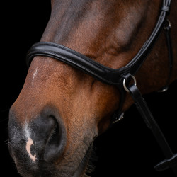 Bridão sem embocadura HV Polo Legacy Preto