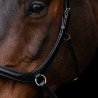 Bridão sem embocadura HV Polo Legacy Preto Bridão sem embocadura HV Polo Legacy Preto