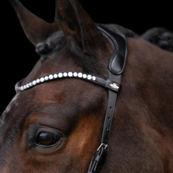 Bridão sem embocadura HV Polo Legacy Preto