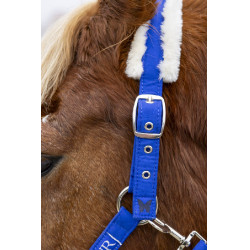 Cabresto e guia Harcour Teschic Azul elétrico