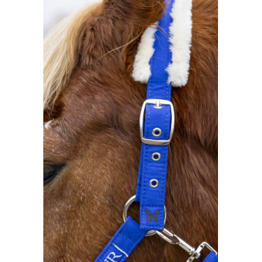 Cabresto e guia Harcour Teschic Azul elétrico