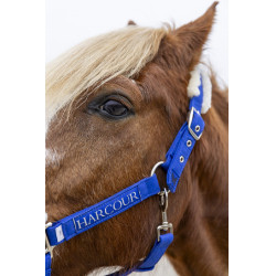 Cabresto e guia Harcour Teschic Azul elétrico