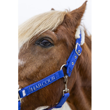 Cabresto e guia Harcour Teschic Azul elétrico