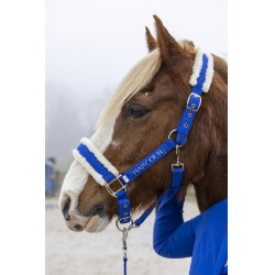 Cabresto e guia Harcour Teschic Azul elétrico