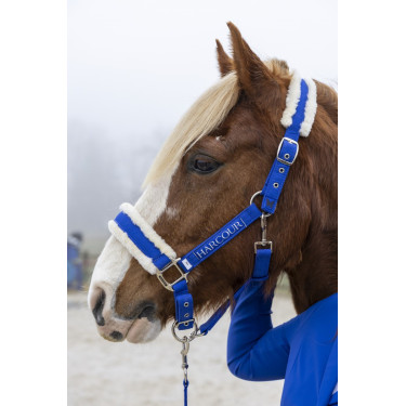 Cabresto e guia Harcour Teschic Azul elétrico
