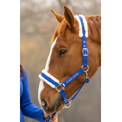 Cabresto e guia Harcour Teschic Azul elétrico