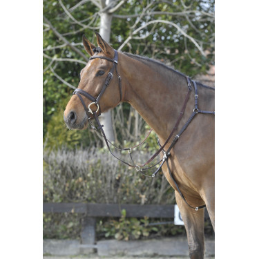 Peitoral Stübben SideFit com forquilha removível e ajustável Ébano / ébano