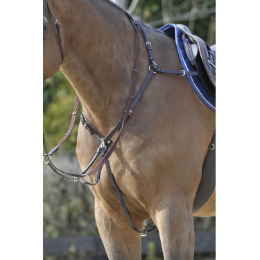 Peitoral Stübben SideFit com forquilha removível e ajustável Ébano / ébano