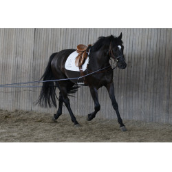 Rédeas longas AKA Stübben Azul / Branco