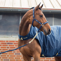 Cadeia longa Horze Holbrook Casaco pea coat azul escuro Cadeia longa Horze Holbrook Casaco pea coat azul escuro