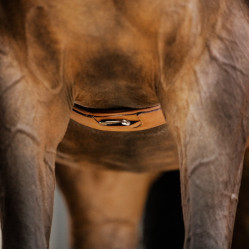 Cilha de couro Stübben Contornos elásticos em ambos os lados Tabaco Castanho