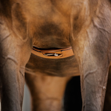 Cilha de couro Stübben Contornos elásticos em ambos os lados Tabaco Castanho