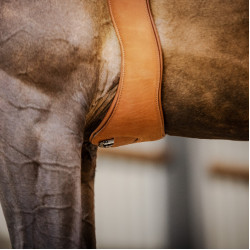 Cilha de couro Stübben Contornos elásticos em ambos os lados Tabaco Castanho
