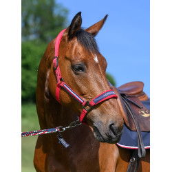 Cabresto Tommy Hilfiger Equestrian Lincoln