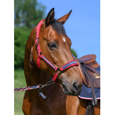 Cabresto Tommy Hilfiger Equestrian Lincoln
