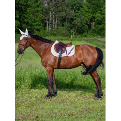 Tapete de CSO Tommy Hilfiger Equestrian Stanford Branco Tapete de CSO Tommy Hilfiger Equestrian Stanford Branco