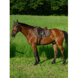 Tapete de CSO Tommy Hilfiger Equestrian Stanford Olive utilitária Verde Tapete de CSO Tommy Hilfiger Equestrian Stanford Olive utilitária Verde
