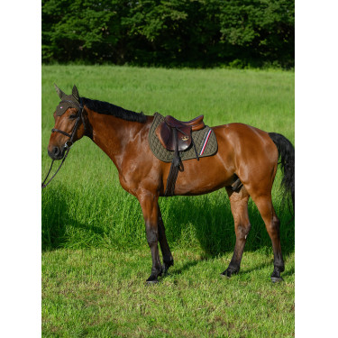 Tapete de CSO Tommy Hilfiger Equestrian Stanford Olive utilitária Verde Tapete de CSO Tommy Hilfiger Equestrian Stanford Olive utilitária Verde