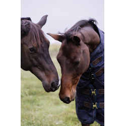 Capa de exterior All Weather impermeável Pro Kentucky Marinho Azul-marinho Capa de exterior All Weather impermeável Pro Kentucky Marinho Azul-marinho