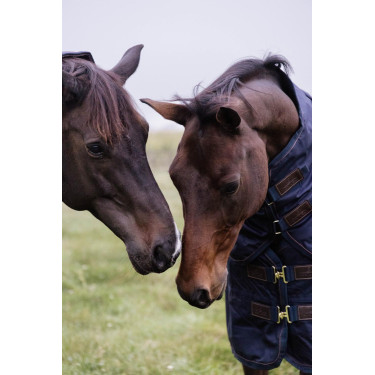 Capa de exterior All Weather impermeável Pro Kentucky Marinho Azul-marinho Capa de exterior All Weather impermeável Pro Kentucky Marinho Azul-marinho