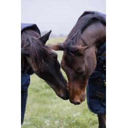 Capa de exterior All Weather impermeável Pro Kentucky Marinho Azul-marinho Capa de exterior All Weather impermeável Pro Kentucky Marinho Azul-marinho