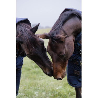 Capa de exterior All Weather impermeável Pro Kentucky Marinho Azul-marinho Capa de exterior All Weather impermeável Pro Kentucky Marinho Azul-marinho