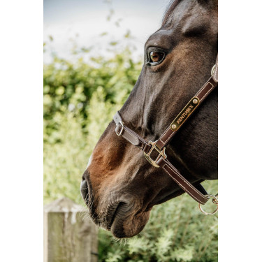 Cabeleira para Cabezada Flexível Kentucky Castanho