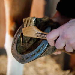Cureta com escovas metálicas Kentucky Cureta com escovas metálicas Kentucky