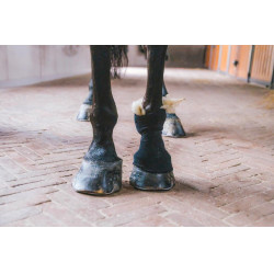 Lã terapêutica 150g Grooming Deluxe by Kentucky Lã terapêutica 150g Grooming Deluxe by Kentucky