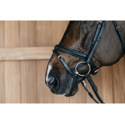 Muserola combinada Dy'on New English Collection Preto