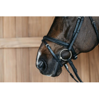 Muserola combinada Dy'on New English Collection Preto