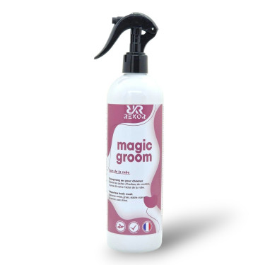 Shampoo seco Rekor Magic Groom Shampoo seco Rekor Magic Groom