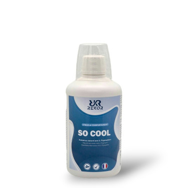 Alimento complementar Rekor So Cool Alimento complementar Rekor So Cool