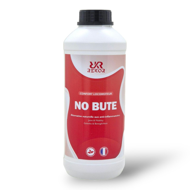 Alimento complementar Rekor No bute Alimento complementar Rekor No bute