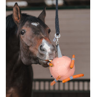 Bola Waldhausen para cenouras Linnea rosa Bola Waldhausen para cenouras Linnea rosa