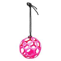 Bola de feno Waldhausen Rosa Bola de feno Waldhausen Rosa