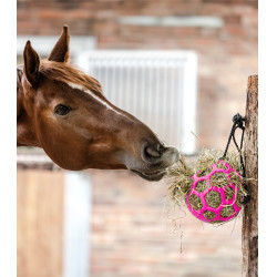 Bola de feno Waldhausen Rosa Bola de feno Waldhausen Rosa