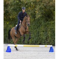 Bloco de obstáculo Cavaletti Waldhausen Azul Bloco de obstáculo Cavaletti Waldhausen Azul